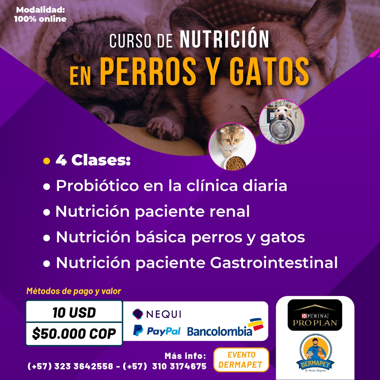 CURSO DE NUTRICIÓN EN PERROS Y GATOS - Dermapet